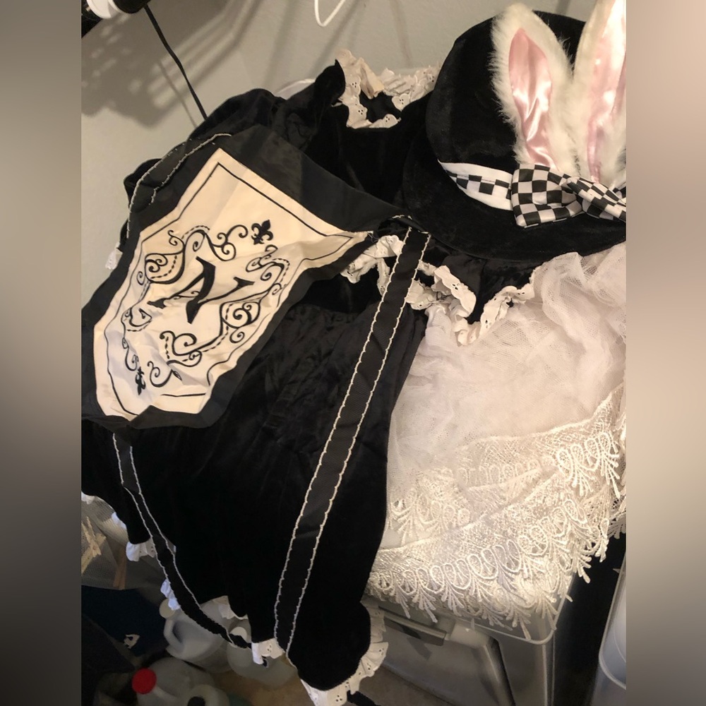 🎃Temporarily misplaced- 
Mad Alice (in Wonderland) Costume789 $65 or $60 w/offer